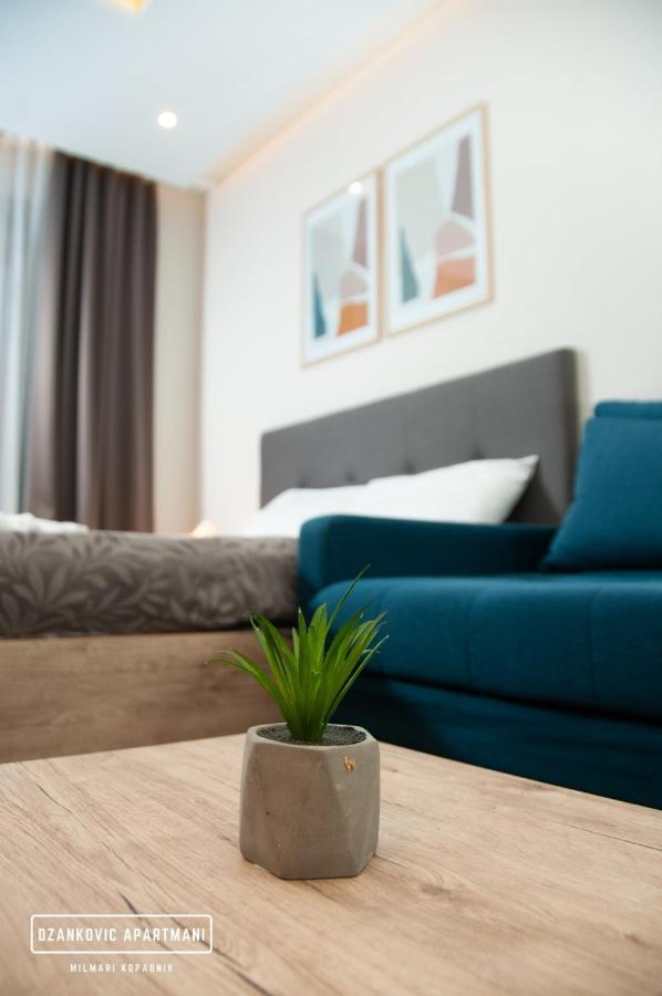 Apartmani Dzankovic โคเปานิก ภายนอก รูปภาพ
