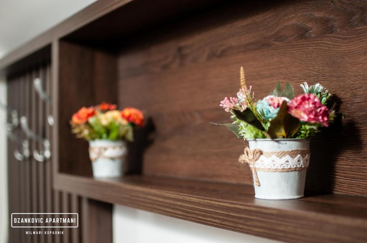Apartmani Dzankovic โคเปานิก ภายนอก รูปภาพ